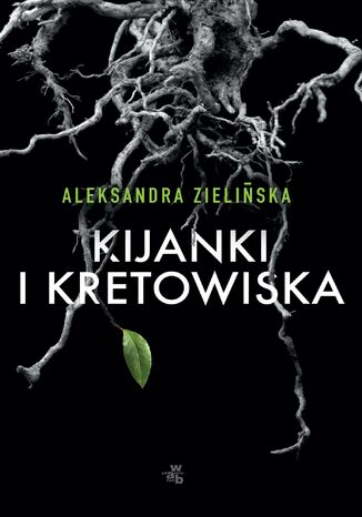 Kijanki i kretowiska Aleksandra Zielińska - okładka audiobooka MP3