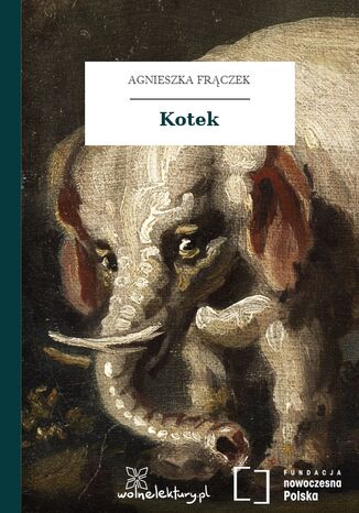 Kotek Agnieszka Frczek - okadka audiobooks CD