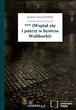 *** (Wspiął się i patrzy w bystrza Woliborki)