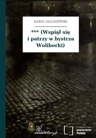 *** (Wspi si i patrzy w bystrza Woliborki) Karol Maliszewski - okadka audiobooks CD