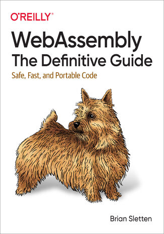 WebAssembly: The Definitive Guide Brian Sletten - okładka audiobooka MP3