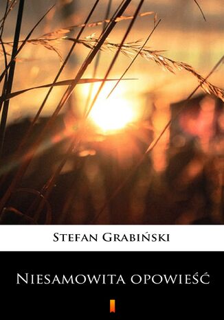 Niesamowita opowie Stefan Grabiski - okadka ebooka