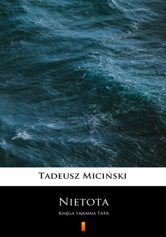 Nietota. Ksiga tajemna Tatr Tadeusz Miciski - okadka ebooka