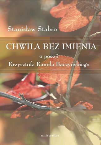 Chwila bez imienia. O poezji Krzysztofa Kamila Baczyskiego Stanisaw Stabro - okadka audiobooks CD