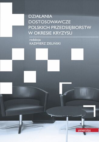 Działania dostosowawcze polskich przedsiębiorstw w okresie kryzysu Kazimierz Zieliński - okładka książki