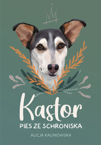 Kastor. Pies ze schroniska Alicja Kalinowska - okadka audiobooka MP3