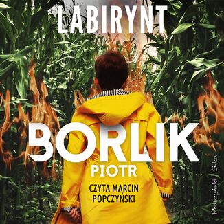 Labirynt Piotr Borlik - okadka audiobooka MP3