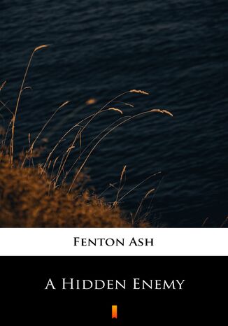 A Hidden Enemy Fenton Ash - okadka ebooka