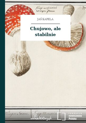 Chujowo, ale stabilnie Ja Kapela - okadka audiobooks CD