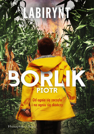 Labirynt Piotr Borlik - okadka ebooka