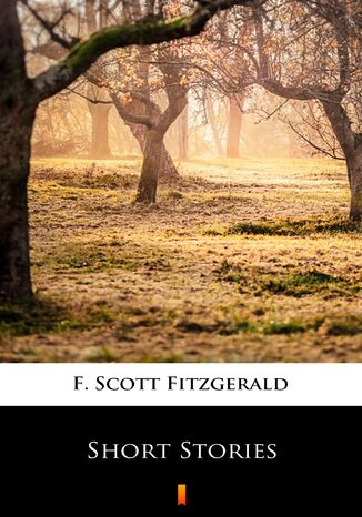 Short Stories F. Scott Fitzgerald - okadka ebooka