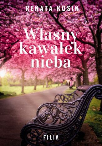 Wasny kawaek nieba Renata Kosin - okadka audiobooks CD