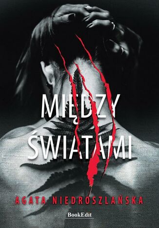 Okładka: Między światami