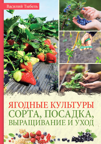 Ягодные культуры. Сорта, посадка, выращивание и уход Василий Тыбель - okadka ebooka