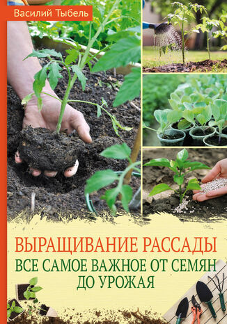 Выращивание рассады. Все самое важное от семян до урожая Василий Тыбель - okadka audiobooks CD