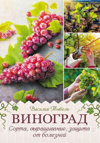 Виноград. Сорта, выращивание, защита от болезней Висилий Тыбель - okadka ebooka