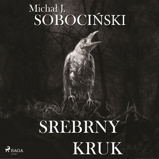 Srebrny kruk Micha J. Sobociski - okadka audiobooka MP3