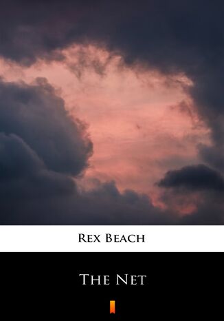 The Net Rex Beach - okładka ebooka