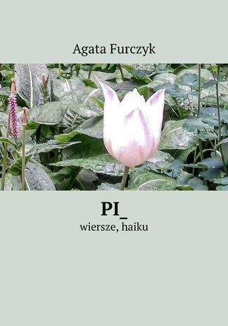 Pi_ Agata Furczyk - okadka ebooka