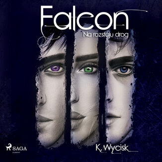 Falcon II Na rozstaju drg Katarzyna Wycisk - okadka audiobooka MP3