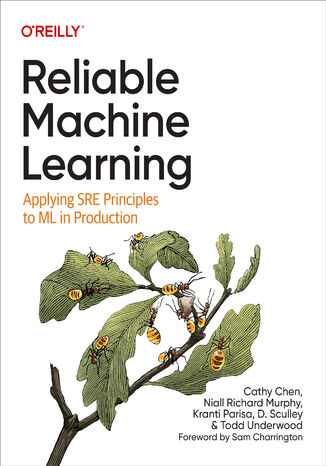Reliable Machine Learning Cathy Chen, Niall Richard Murphy, Kranti Parisa - okładka książki