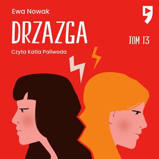 Okładka: Drzazga. Tom 13