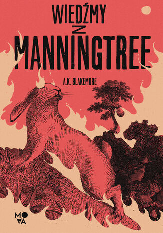 Wiedmy z Manningtree A.K. Blakemore - okadka ebooka