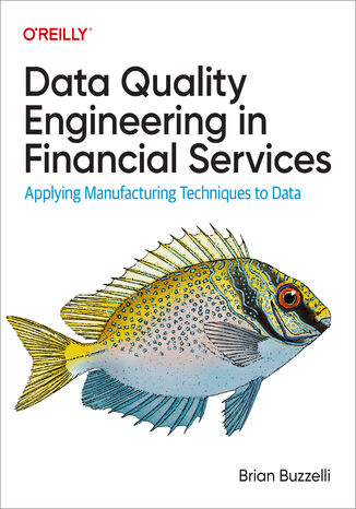 Data Quality Engineering in Financial Services Brian Buzzelli - okładka audiobooka MP3