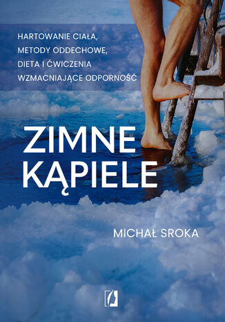 Zimne kpiele Micha Sroka - okadka audiobooks CD