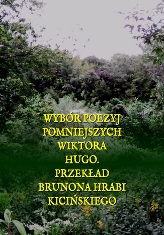 Wybór poezyj pomniejszych Wiktora Hugo