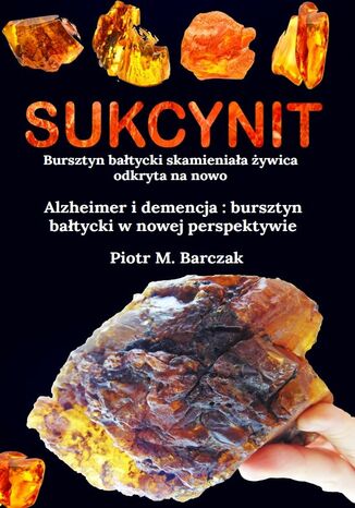 Sukcynit. Bursztyn bałtycki skamieniała żywica odkryta na nowo