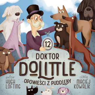 Doktor Dolittle. Opowieści z Puddleby Hugh Lofting - okładka audiobooks CD