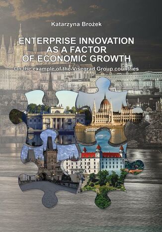 ENTERPRISE INNOVATION AS A FACTOR OF ECONOMIC GROWTH On the example of the Visegrad Group countries Katarzyna Brożek - okładka książki