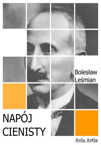 Napój cienisty Bolesław Leśmian - okładka ebooka