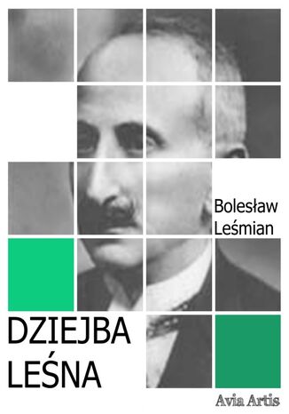 Dziejba leśna Bolesław Leśmian - okładka audiobooks CD