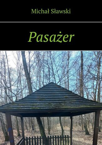 Pasaer Micha Sawski - okadka audiobooks CD