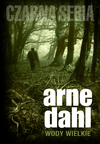 Wody wielkie Arne Dahl - okadka ebooka