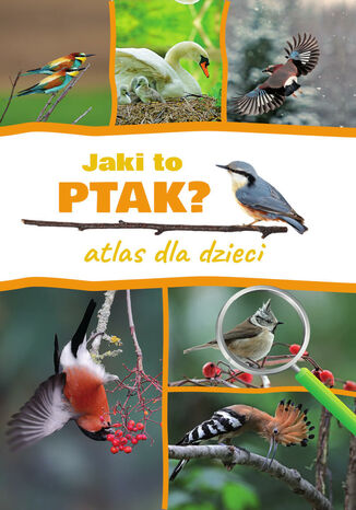 Jaki to ptak? Atlas dla dzieci Dominik Marchowski - okadka audiobooks CD