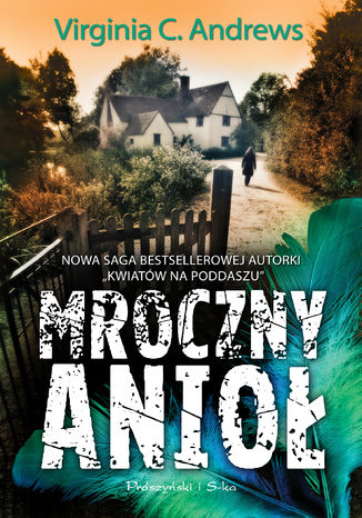 Mroczny anioł