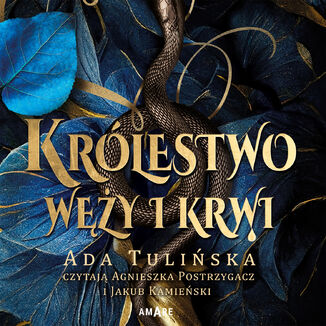 Królestwo węży i krwi Ada Tulińska - okładka audiobooka MP3