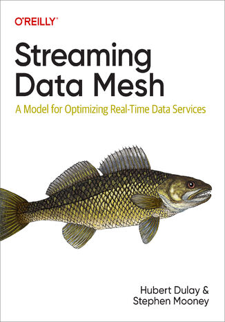 Streaming Data Mesh Hubert Dulay, Stephen Mooney - okładka ebooka