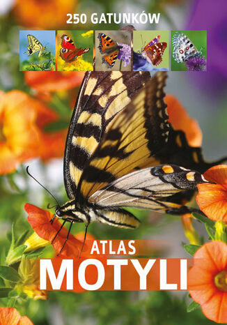 Atlas motyli Kamila Twardowska - okadka ebooka