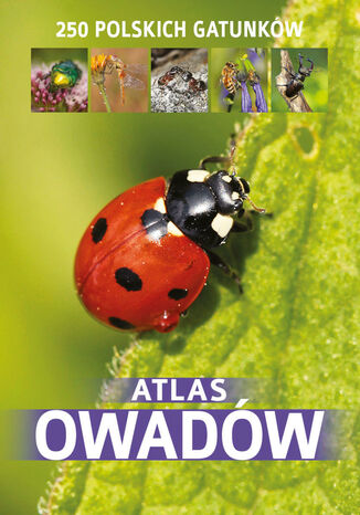 Atlas owadw Kamila Twardowska - okadka ebooka