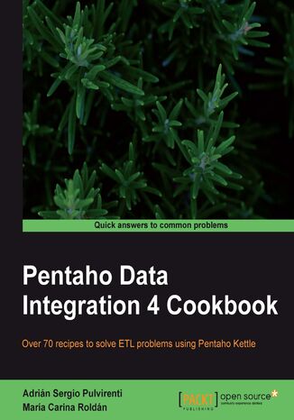 Pentaho Data Integration 4 Cookbook. Over 70 recipes to solve ETL problems using Pentaho Kettle Adri??!n Sergio Pulvirenti, Lance Walter, Mara Carina Roldn, Adrian Sergio Pulvirenti - okadka ebooka