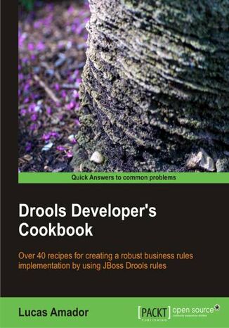 Okładka:Drools Developer's Cookbook 