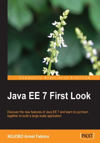 Java EE 7 First Look. Discover the new features of Java EE 7 and learn to put them together to build a large-scale application NDJOBO Armel Fabrice, Armel Fabrice NDJOBO - okadka ebooka