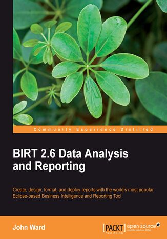 BIRT 2.6 Data Analysis and Reporting. Create, Design, Format, and Deploy Reports with the world's most popular Eclipse-based Business Intelligence and Reporting Tool John Ward - okadka audiobooka MP3