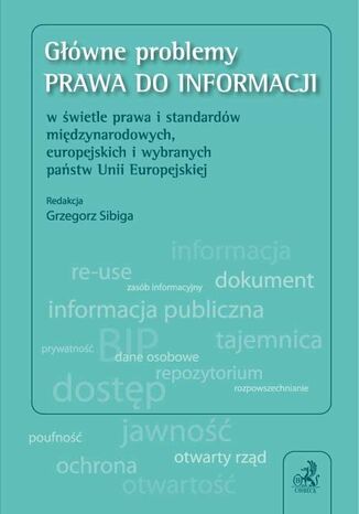 Okładka:Główne problemy prawa do informacji w świetle prawa i standardów międzynarodowych, europejskich i wybranych państw Unii Europejskiej 