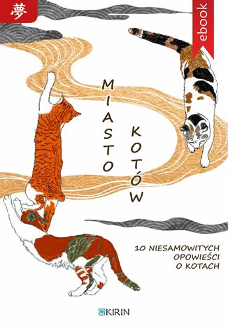 Miasto kotów. 10 niesamowitych opowieści o kotach