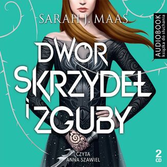 Okładka: Dwór skrzydeł i zguby. Tom 3